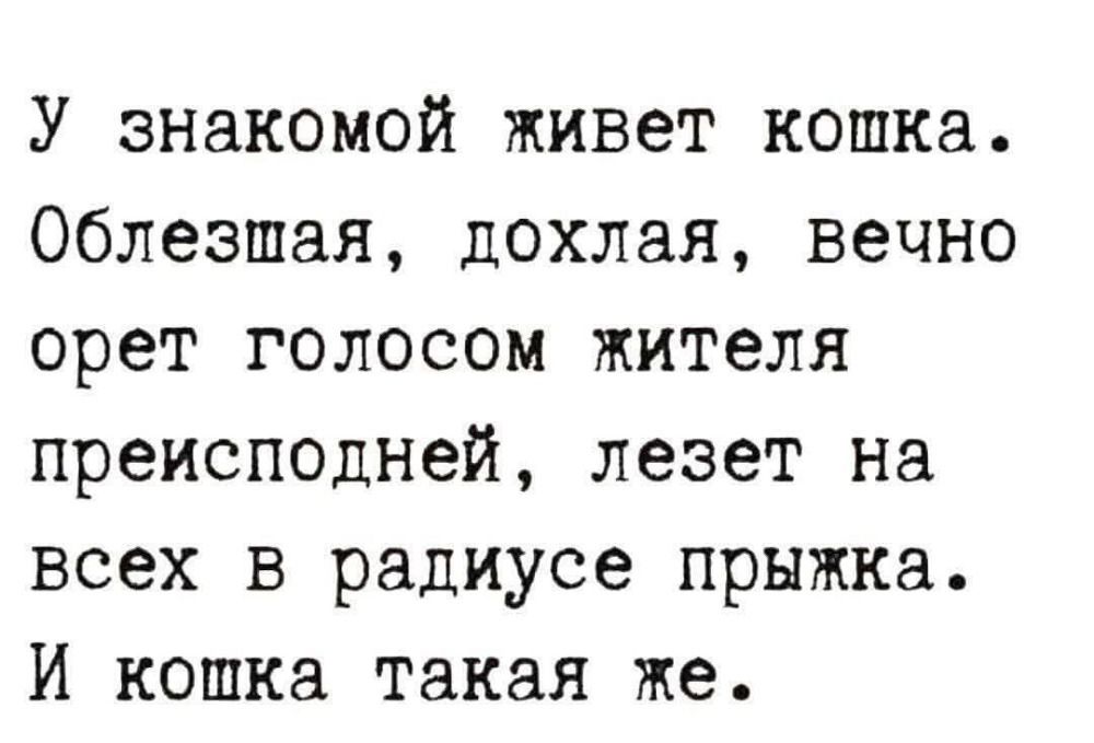 У знакомой живет кошка Облезшая дохлая вечно орет голосом жителя преисподней лезет на всех в радиусе прыжка И кошка такая же