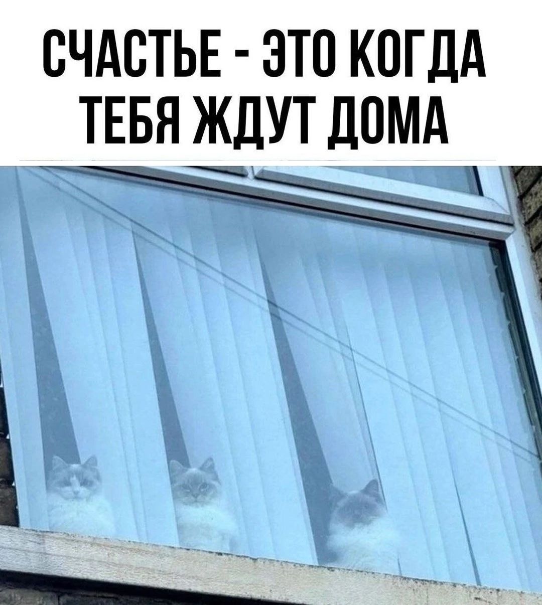 СЧАСТЬЕ ЭТО КОГДА ТЕБЯ ЖДУТ ДОМА