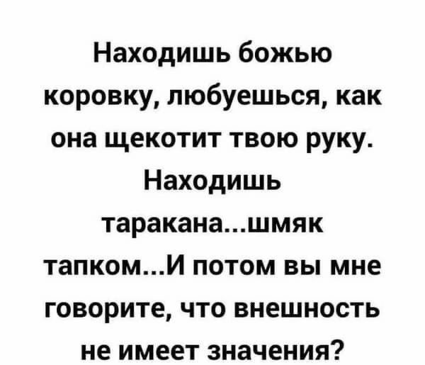 Находишь божью коровку любуешься как она щекотит твою руку Находишь тараканашмяк тапкомИ потом вы мне говорите что внешность не имеет значения