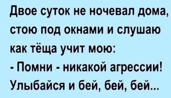 Двое суток не ночевал дома стою под окнами и слушаю как тёща учит мою Помни никакой агрессии Улыбайся и бей бей бей