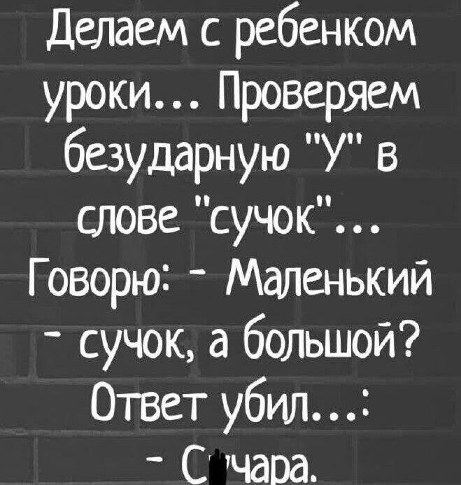 Делаем с ребенком уроки Проверяем безударную У в слове сучок Говорю Маленький сучок а большой Ответ убил чЧара