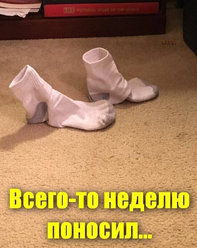 Всего то недел Щіщшд_ш