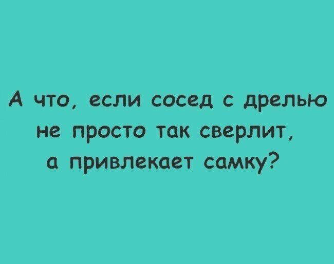 А что если сосед с дрелью не просто так сверлит а привлекает самку