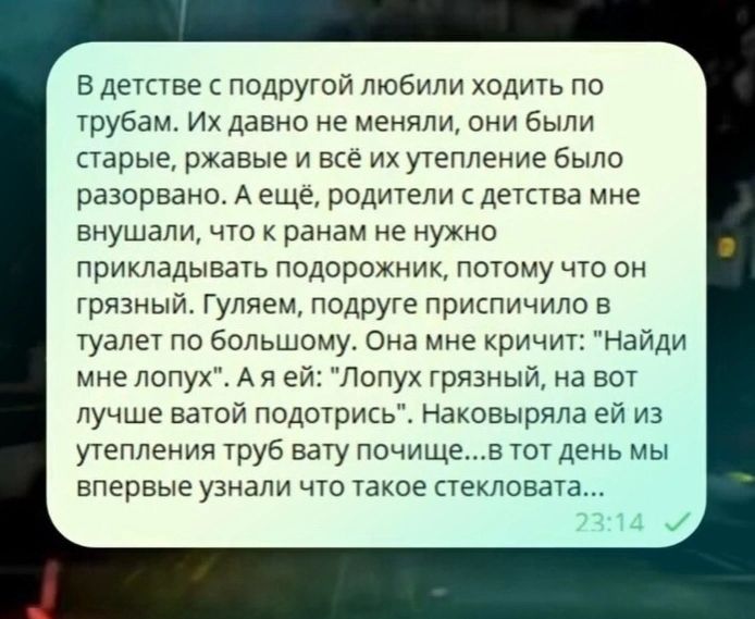 В детстве с подругой любили ходить по трубам Их давно не меняли они были старые ржавые и всё их утепление было разорвано А ещё родители с детства мне внушали что к ранам не нужно прикладывать подорожник потому что он грязный Гуляем подруге приспичило в туалет по большому Она мне кричит Найди мне лопух Ая ей Лопух грязный на вот лучше ватой подотрис