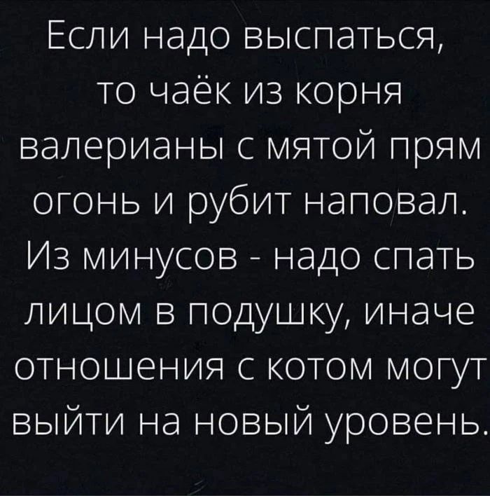 Если надо выспаться то чаёк из корня валерианы с мятой прям огонь и рубит наповал Из минусов надо спать лицом в подушку иначе отношения с котом могут выйти на новый уровень