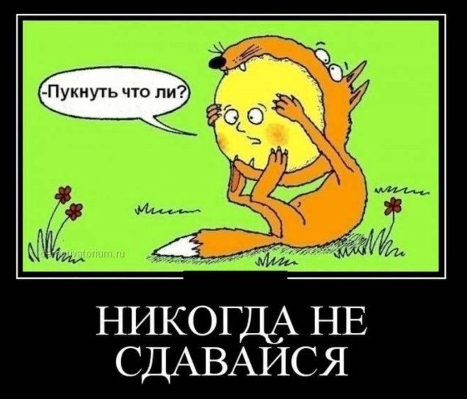 НИКОГДА НЕ СДАВАЙСЯ