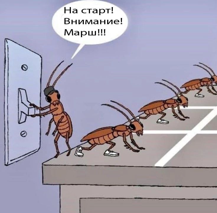 На старт Внимание Марш