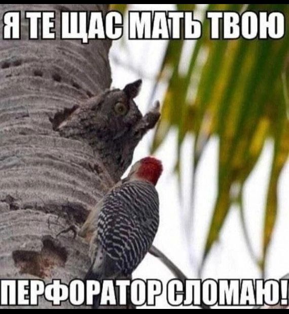 ЯТЕЩАСЛ дтьтвпю