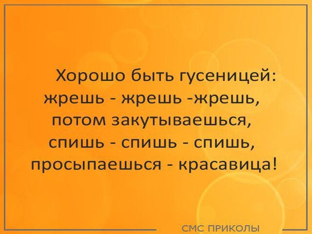 Хорошо быть гусеницей жрешь жрешь жрешь потом закутываешься спишь спишь спишь просыпаешься красавица СМС ПРИКОЛЫ