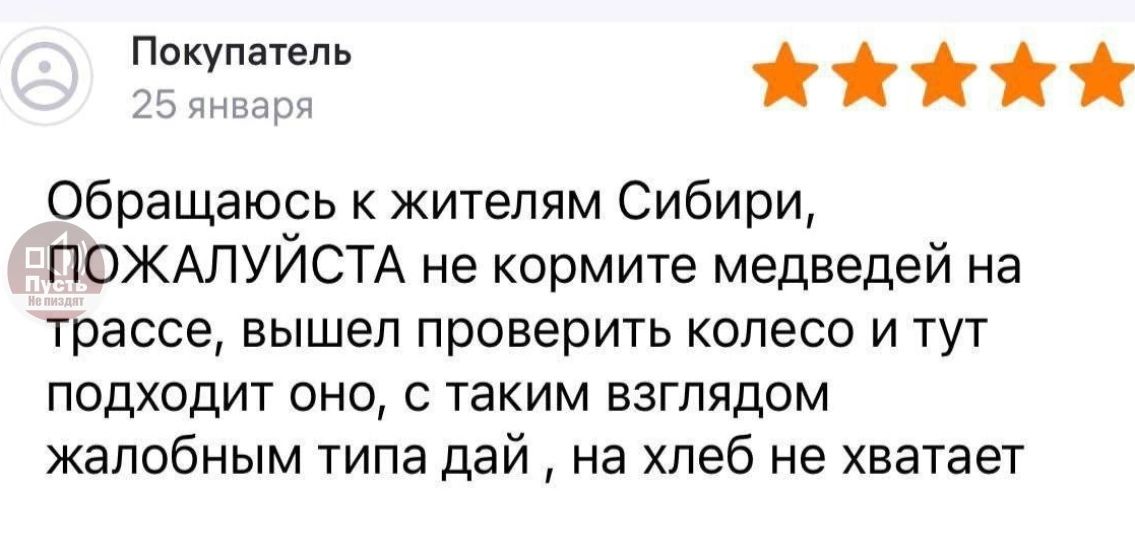 Пгкупатель лИЙ Обращаюсь к жителям Сибири ПОЖАЛУЙСТА не кормите медведей на трассе вышел проверить колесо и тут подходит оно с таким взглядом жалобным типа дай на хлеб не хватает