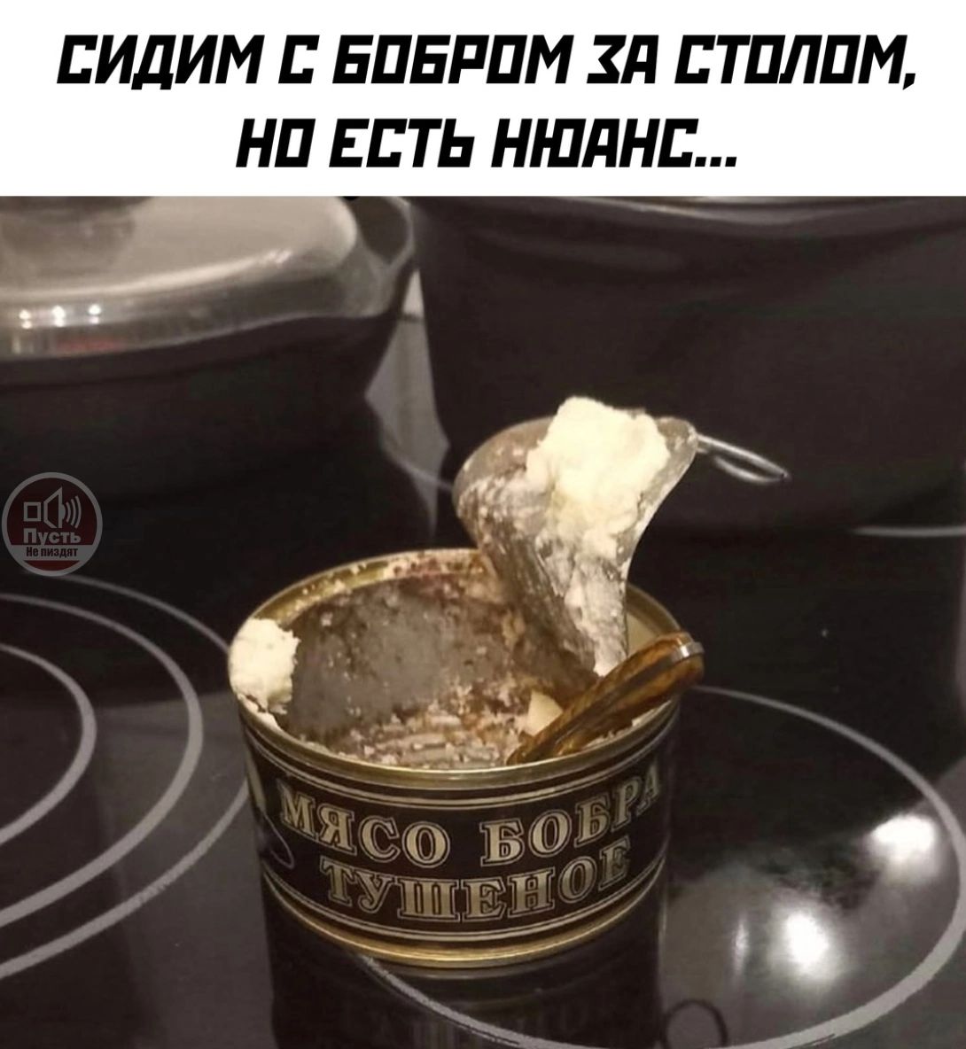 СИДИМ С БОБРОМ ХА СТОЛОМ НО ЕСТЬ НЮАНС