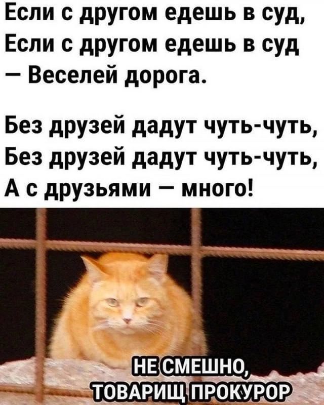 Если с другом едешь в суд Если с другом едешь в суд Веселей дорога Без друзей дадут чуть чуть Без друзей дадут чуть чуть А с друзьями много