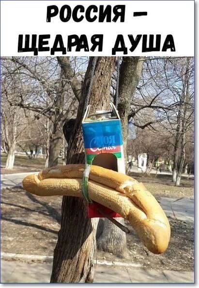 РОССИЯ ЩЕД