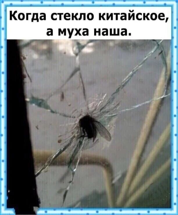 Когда стекло китайское а муха наша