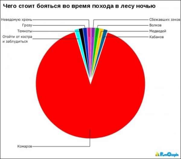 Чего стоит бояться во время похода в лесу ночью евелсную хоемь ш соежавших ээ Грозу волкое тойтя от стр в