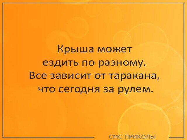 Крыша может ездить по разному Все зависит от таракана что сегодня за рулем смс пРИКоЛЫ