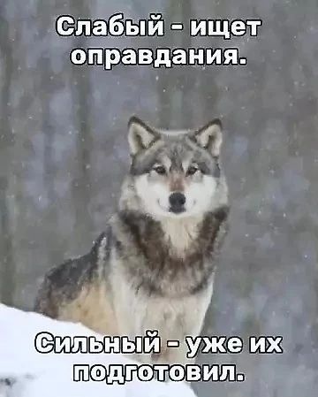 Слабый ищет оправдания