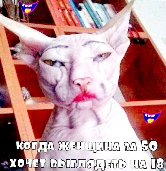 к котдА ЖЕМЩИНАКТ Х ЧЕТДВБИГЛТЯ ЕЫ