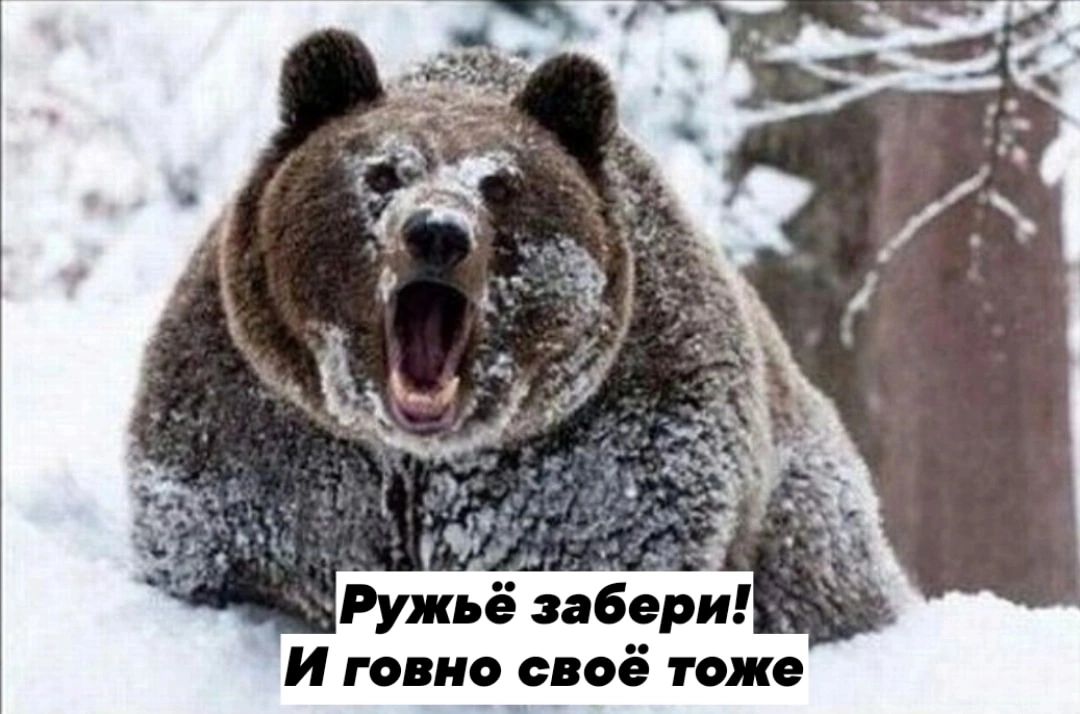 И говно своё тожо