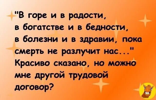 В горе и в радости в богатстве и в бедности в болезни и в здравии пока смерть не разлучит нас Красиво сказано но можно мне другой трудовой договор ъ