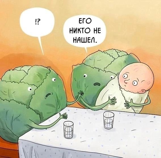 ЕГО НИКТО НЕ НАШЕЛ