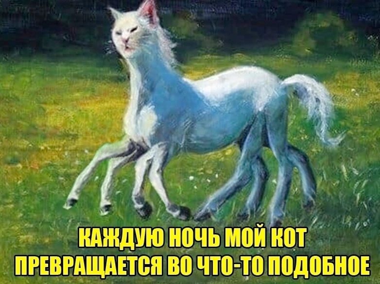 нлждиюЮ ночь мой кот ПРЕВРАЩАЕТСЯ ВО ЧТО ТО ПОДОБНОЕ