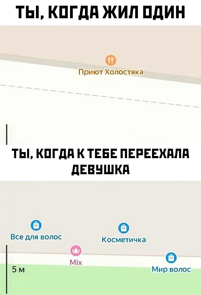 ТЫ КОГДА ЖИЛ ОДИН Ф Приют Холостяка ТЫ КОГДА К ТЕБЕ ПЕРЕЕХАЛА ДЕВУШКА Все для волос Косметичка мк 5м Мир волос