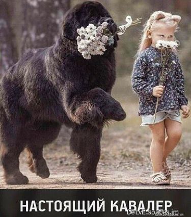 ндстоящий кддд