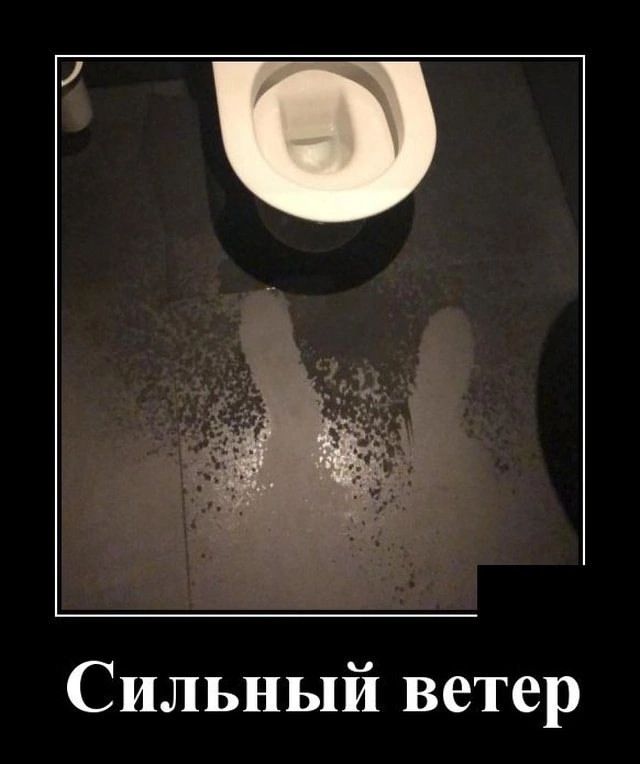 Сильный ветер