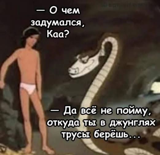 О чем задумался Каа а всё неп ой откудатывджунг трусы бсрёЁЁэі Щ