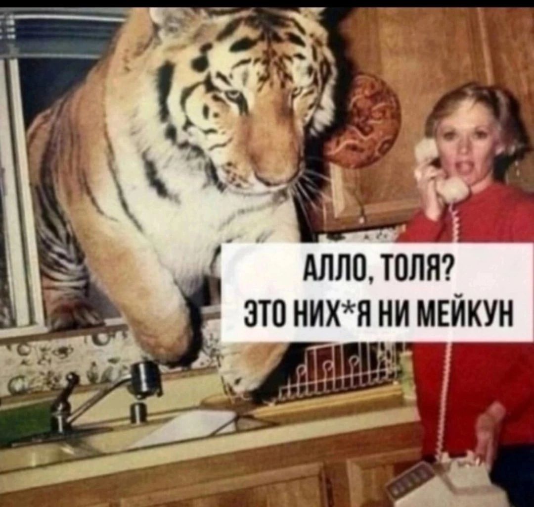 АЛЛО ТОЛЯ ЭТО НИХЯ НИ МЕЙКУН