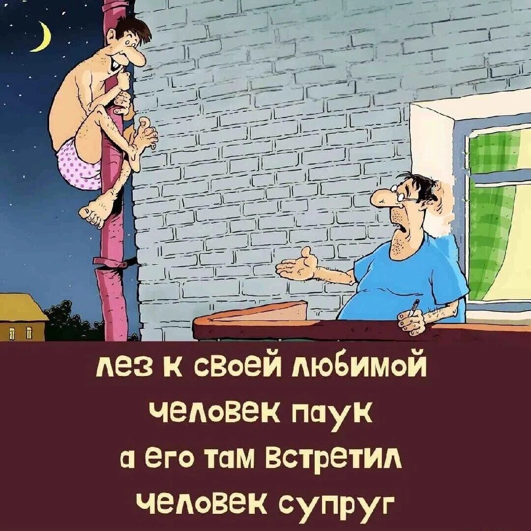 лез к сВоей любимой человек паук а ёго там Встретил человек супруг