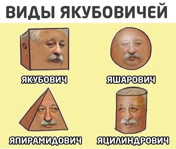 ВИДЫ ЯКУБОВИЧЕЙ