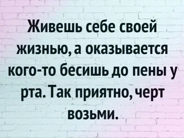 Живешь себе своей жизнью а оказывается кого то бесишь до пены у рта Так приятно черт ВоЗЬМИ