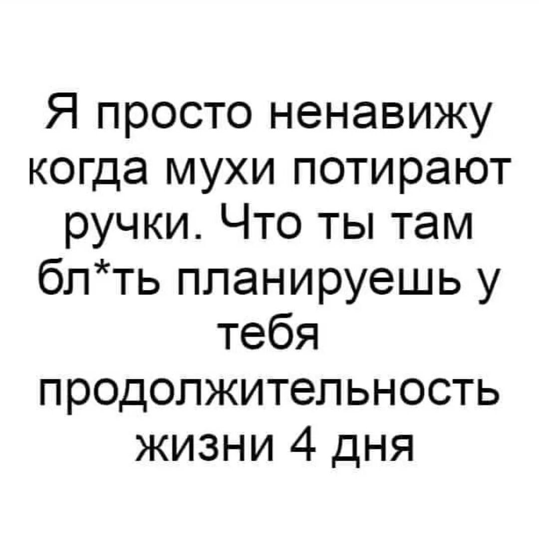 Я просто ненавижу когда мухи потирают ручки Что ты там блть планируешь у тебя продолжительность жизни 4 дня