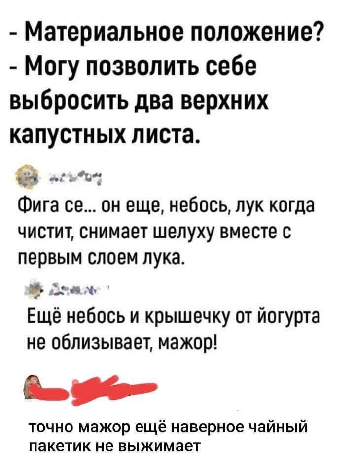 Материальное положение Могу позволить себе выбросить два верхних капустных листа э огъбо Фига се он еще небось лук когда чистит снимает шелуху вместе с первым слоем лука оа Ещё небось и крышечку от йогурта не облизывает мажор Баеь е точно мажор ещё наверное чайный пакетик не выжимает