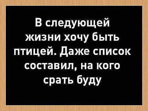 В следующей жизни хочу быть птицей Даже список составил на кого срать буду