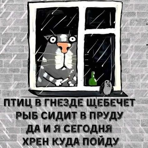 ПТИЦ В ГНЕЗДЕ ЩЕБЕЧЕТ РЫБ СИДИТ В ПРУДУ ДАИЯ СЕГОДНЯ ХРЕН КУДА ПОЙДУ