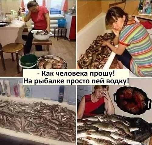 Как человека прошу На рыбалке просто пей водку