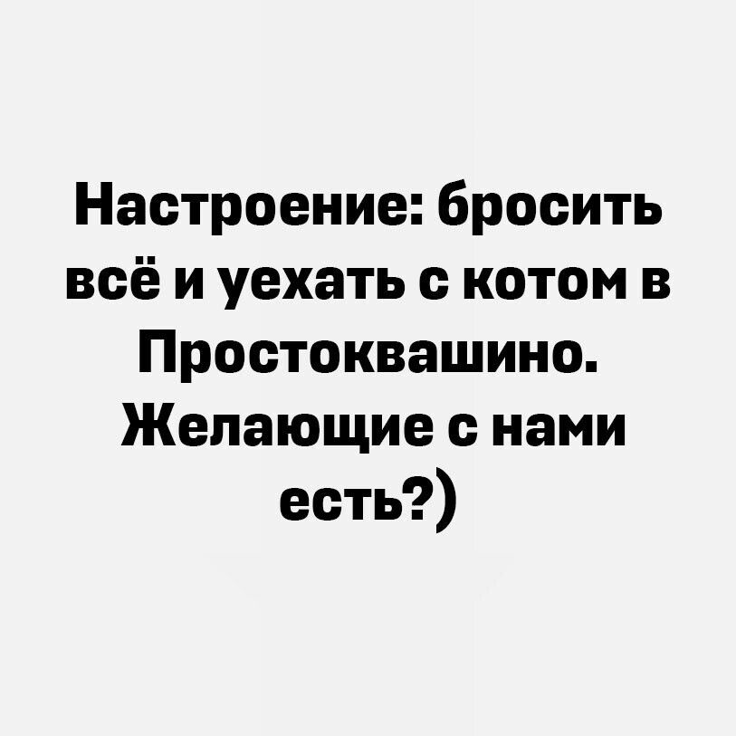 Настроение бросить всё и уехать с котом в Простоквашино Желающие с нами есть