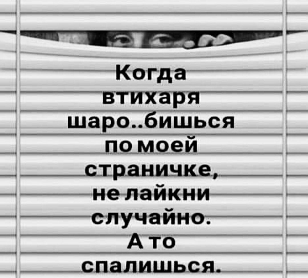 нтлНННОЕЗверлсвее Когда втихаря шаробишься помоей нелайкни і