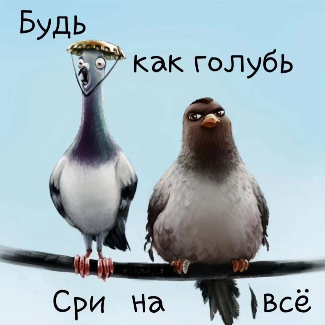 Будь как голубь