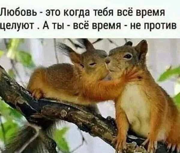 Юбовь  это когда тебя всё время целуют . А ты  всё время  не против