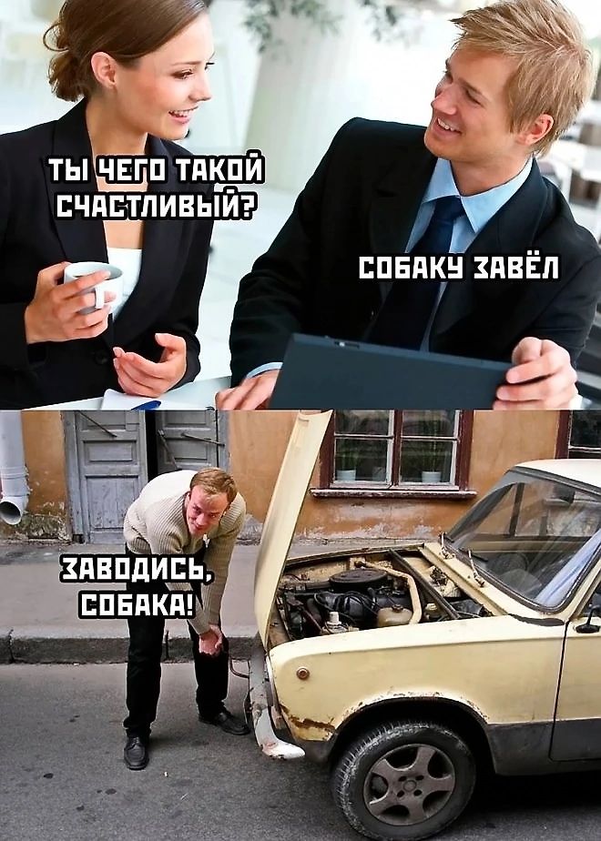 Ты чего такой счастливый? Собаку завёл. Заводись, собака!