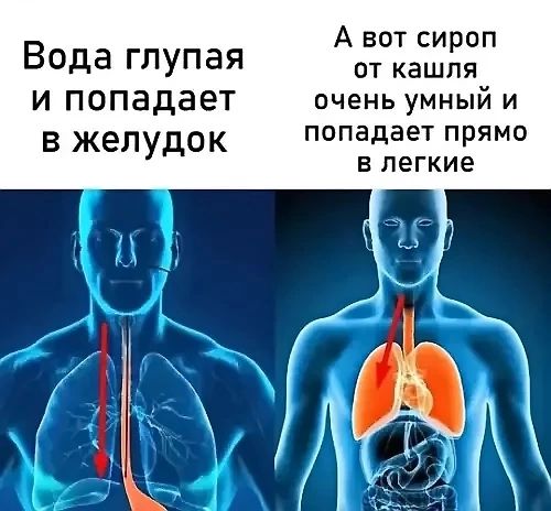 Вода глупая и попадает в желудок
А вот сироп от кашля очень умный и попадает прямо в легкие