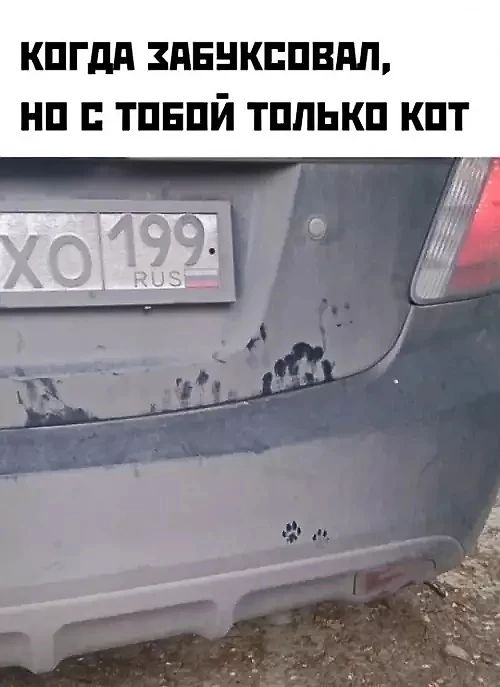 КОГДА ЗАБУКСОВАЛ, НО С TOБОЙ ТОЛЬКО КОТ