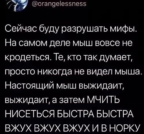 Сейчас буду разрушать мифы. На самом деле мышь вовсе не кродется. Те, кто так думает, просто никогда не видел мыша. Настоящий мыш выжидает, выжидает, а затем МЧИТЬ НИСЕТЬСЯ БЫСТРА БЫСТРА ВЖУХ ВЖУХ ВЖУХ И В НОРКУ.