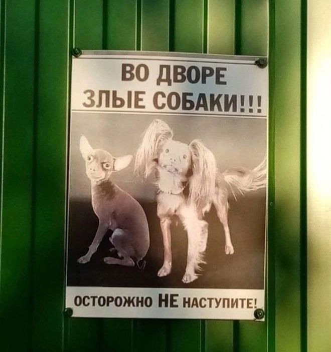 ВО ДВОРЕ ЗЛЫЕ СОБАКИ!!!
ОСТОРОЖНО НЕ НАСТУПИТЕ!