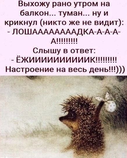 Выходу рано утром на балкон... туман... ну и крикнул (никто же не видит): - ЛОШАAAAAAAАДКА-A-A-A-А!!!!!!!!!! Слышу в ответ: - ЕЖИИИИИИИИИК!!!!!!!!!! Настроение на весь день!!!!)))