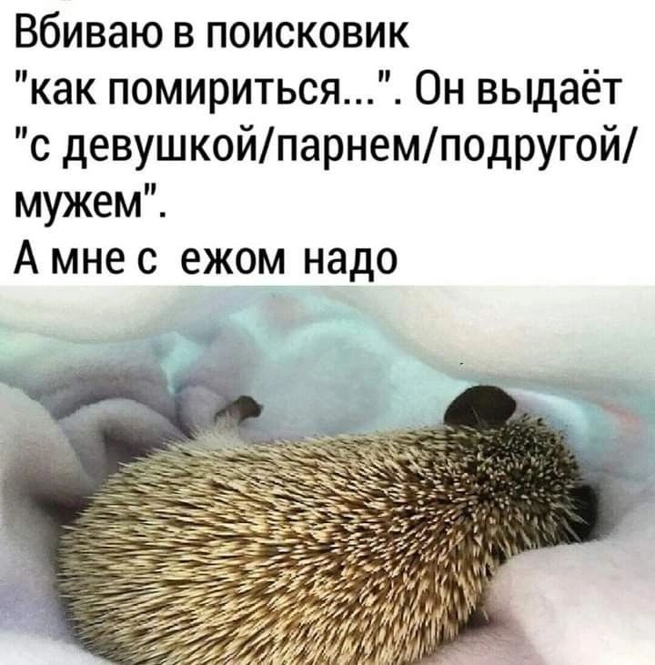 Вбиваю в поисковик 